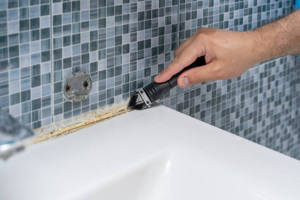 Best Certified Mold Removal  in Osseo, WI