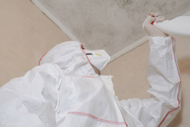 Certified Mold Removal in Osseo, WI